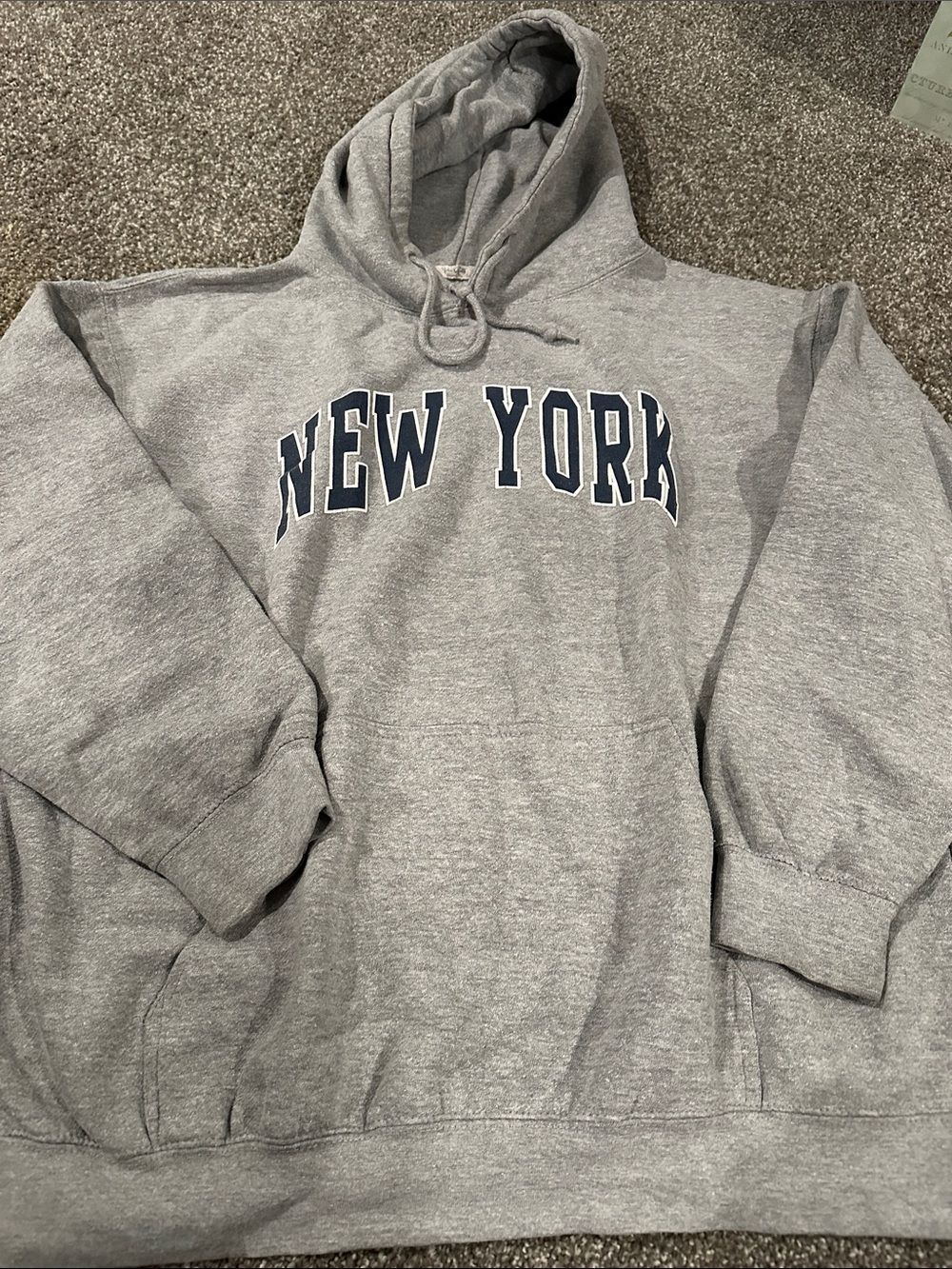 Brandy Melville Gray Hoodie with Navy "New York" Arch